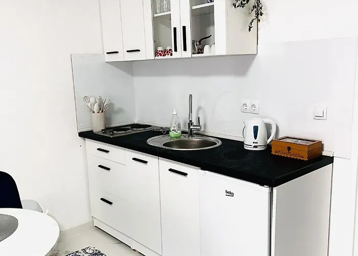 Efesa 公寓 维索科